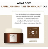 SKIN1004 Madagascar Centella Probio-Cica products bundle Kuwait