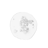 The Ordinary - Balancing & Clarifying Serum