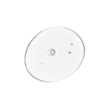 Ethylated Ascorbic Acid 15% Solution